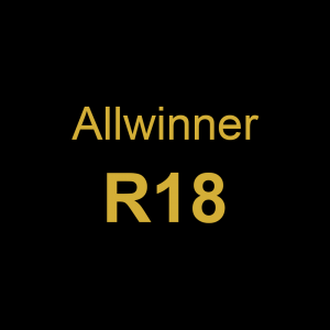 Allwinner R18